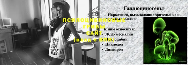 дурь Дмитриев