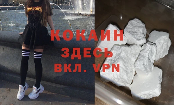дурь Дмитриев