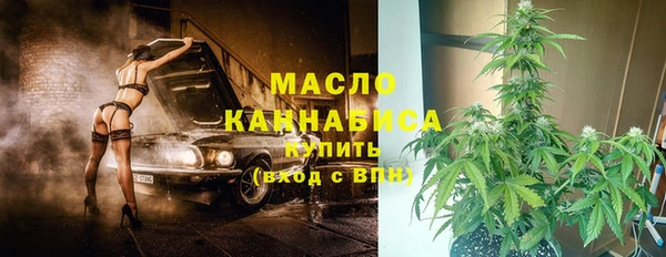 гашик Дмитровск