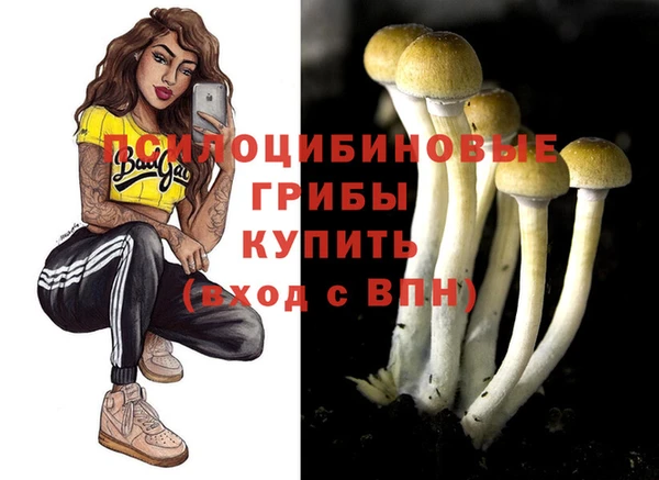 дурь Дмитриев