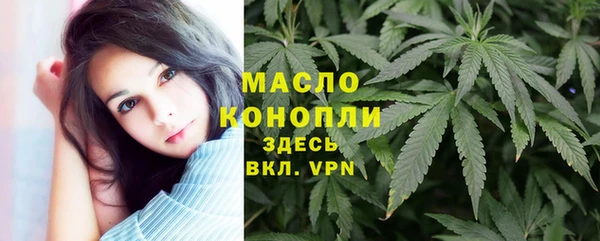 дурь Дмитриев