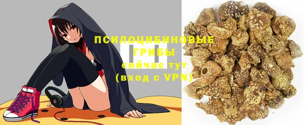 МДПВ Дмитров