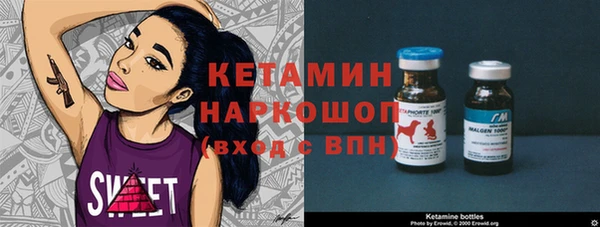 гашик Дмитровск