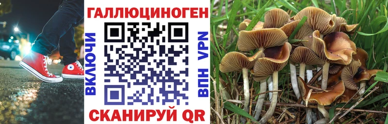 blacksprut онион  нарко площадка как зайти  Галлюциногенные грибы мицелий  Ершов 
